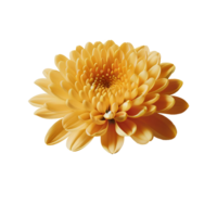 ai gerado lótus flor png