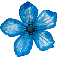 Aquarell Blume Illustration und Clip Kunst png