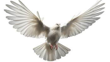 AI generated dove of peace isolated png