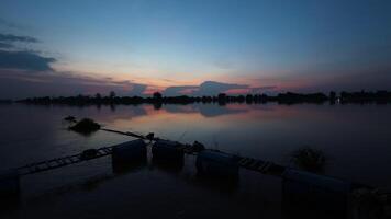 pesce azienda agricola nel il chao Phraya fiume a tramonto. video