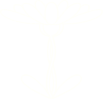 blomma krita ritning png