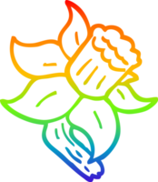 rainbow gradient line drawing cartoon daffodil png