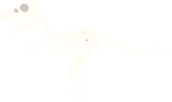huesos de dinosaurio de dibujos animados de ilustración de color plano png