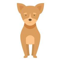 pequeño perro mascota icono dibujos animados vector. cuidado animal canino vector