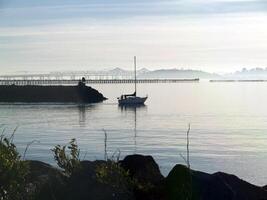 Berkeley, CA, 2007 - Lone sailboat motoring out of marina in evening photo