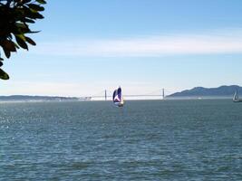 Berkeley, CA, 2007 - Sailboat with Spinnaker and Golden Gate Bridge photo