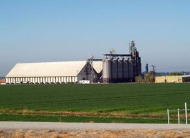 Davis, CA, 2008 - Grain storage bins and sheds in field photo