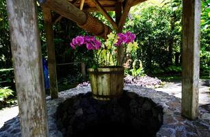 Kona, HI, 2011 - Well With Rope And Bucket Used As Flower Pot Hawaii photo
