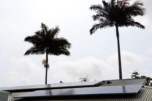 Kona, HI, 2016 - Solar Panels On Corrugated Roof With Two Palm Trees photo