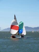 Berkeley, CA, 2007 - Sailboats running under spinnaker sails on bay photo