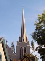 palo Alto, California, 2006 - cristiano Iglesia campanario con azul cielo y árbol foto