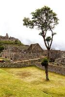 Machu Picchu, Peru, 2015 - Tree Grass Clouds Walls And Tourists South America photo