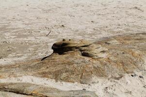 Wind And Water Sculpted Rock On Sand Beach photo