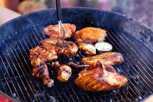 varios piezas de pollo Cocinando en al aire libre parrilla foto