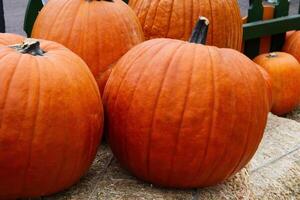 Several Orange Pumpkins Sitting On Bales Of Hay photo