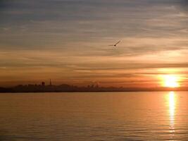 san francisco puesta de sol bahía y gaviotas foto