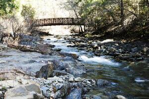 Footbridge Over Creek With Trees And Rocks photo