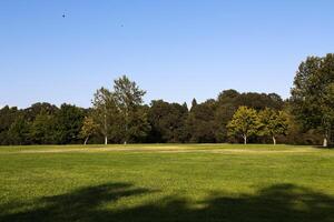 Green Grass and Trees Blue Sky Part photo