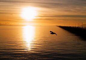 Sunset Over San Francisco Bay From Berkeley Marina photo