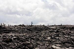 Black Lava Covering Hill With Sparse Trees And Clouds photo