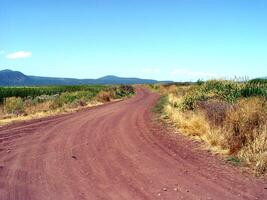 rojo suciedad la carretera mediante campos con azul cielo foto