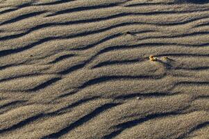 ondas en arena playa desde viento o agua foto
