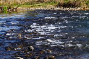 Small Rapids In River With Far Bank photo