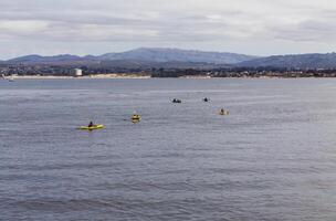 Monterey, CA, 2015 - Group Of Yellow And Green Kayaks On Monterey Bay California photo