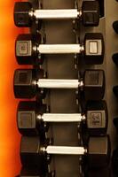 Rack Of Dumbbell Weights Against The Wall photo