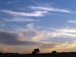 Swirling clouds over oak tress on hill photo