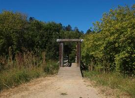 Dirt Path Leading To Wooding Foot Bridge With Green Trees photo