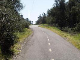 Paved bike path up hill with trees and power lines photo