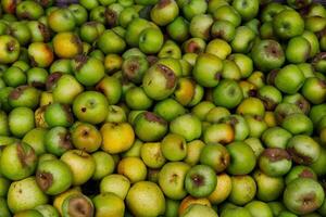 marco relleno Disparo de verde manzanas en compartimiento foto