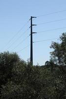 power tension line pole against blue sky surrounded by trees photo