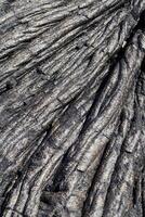 Closeup of old dried lava flow Hawaii photo