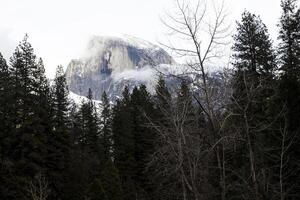 Halfdome With Snow And Cloudy Sky Through Trees photo