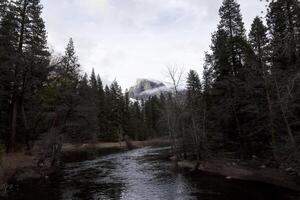 Merced River Flowing Through Trees With Halfdome In Background photo