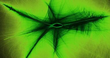 Green Abstract Lines Curves Particles Background photo