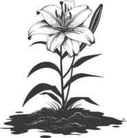 AI generated Silhouette Lily flower in the ground black color only vector