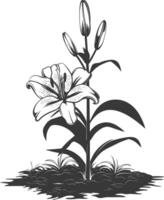 AI generated Silhouette Lily flower in the ground black color only vector