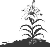 AI generated Silhouette Lily flower in the ground black color only vector