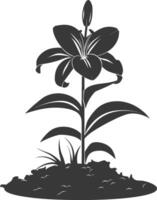 AI generated Silhouette Lily flower in the ground black color only vector