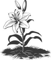 AI generated Silhouette Lily flower in the ground black color only vector