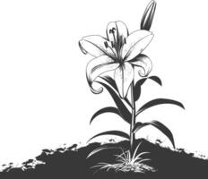 AI generated Silhouette Lily flower in the ground black color only vector