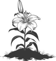 AI generated Silhouette Lily flower in the ground black color only vector