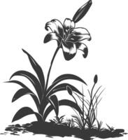 AI generated Silhouette Lily flower in the ground black color only vector