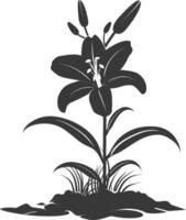 AI generated Silhouette Lily flower in the ground black color only vector