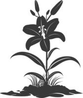 AI generated Silhouette Lily flower in the ground black color only vector