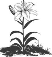 AI generated Silhouette Lily flower in the ground black color only vector