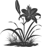 AI generated Silhouette Lily flower in the ground black color only vector